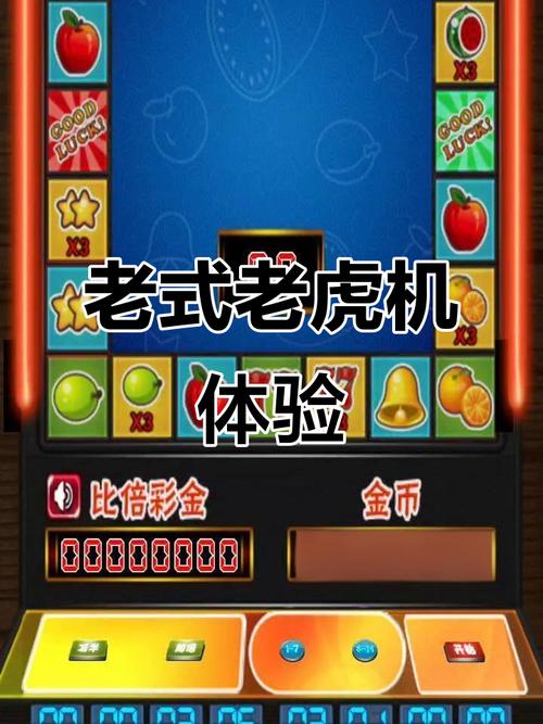 探寻TP南美之翼地址的详细指南与交通建议